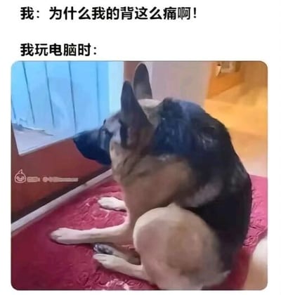 这张梗图通过图文结合的方式，上方文字先发出“为什么我的背这么痛啊！”的疑问，接着用“我玩电脑时：”引出下方的P图照片。照片利用视觉错位的手法，让一只德国牧羊犬的身体呈现出人类弯腰驼背、严重扭曲的坐姿，仿佛正歪着身体紧盯电脑屏幕，生动又搞笑地解释了背痛的原因——长期保持不良的电脑使用姿势，精准戳中了久坐使用电子设备人群的身体不适痛点，引发强烈共鸣，没有双关或谐音梗。针对图中的问题，背痛的原因正是图中展示的不良坐姿，长期弯腰驼背、身体扭曲着使用电脑，会让背部肌肉持续处于紧张状态，进而引发疼痛，建议保持正确坐姿，定时起身活动放松背部。