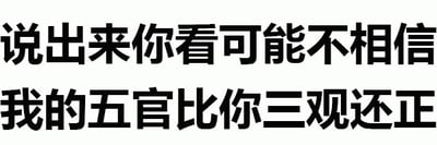 这是一张纯文字梗图，背景为白色，黑色文字内容为'说出来你看可能不相信 我的五官比你三观还正'。图中运用了双关语技巧，'五官'（指面部特征）和'三观'（指世界观、人生观、价值观）通过'正'字形成幽默对比，'五官正'意为相貌端正，'三观正'意为价值观正确，以此产生调侃效果。