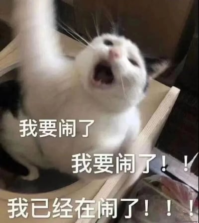 一只黑白相间的猫咪仰卧着，张大嘴巴，一只爪子向上举起，表情夸张仿佛在咆哮。图片上叠加了三行文字："我要闹了"、"我要闹了!!!"和"我已经在闹了!!!"，形成递进式的情绪表达，整体营造出一种搞笑又略带夸张的效果。
