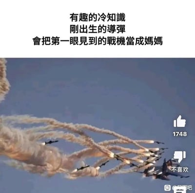 这是一张玩拟人化梗的搞笑图文梗图：上方配了虚构的冷知识文案“有趣的冷知识 刚出生的导弹 会把第一眼见到的战机当成妈妈”，下方是战机释放红外干扰弹的真实军事画面，干扰弹的轨迹看起来像一群小“导弹”追着战机，制造出“导弹认战机当妈妈，跟着妈妈飞”的搞笑视觉效果，模仿了动物的印随行为，没有真实的科学依据，纯为搞笑创作。