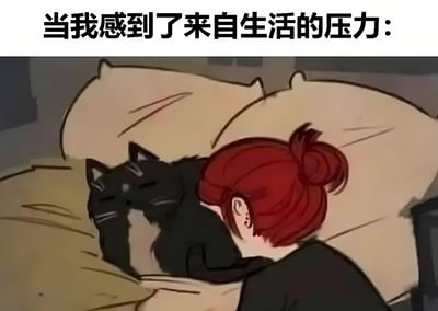 图片上方配有文字“当我感到了来自生活的压力：”，下方是一幅卡通插画。画中一位红头发扎成丸子头的女孩，穿着黑色上衣，正侧躺在床上，将头轻轻依偎在一只黑白相间的猫咪身上。猫咪闭着眼睛，显得十分安详，女孩和猫咪一同躺在铺着浅色床单的床上，整体画面营造出一种在压力下寻求猫咪陪伴来获得慰藉的温馨治愈氛围。