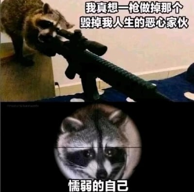 这是一张上下拼接的拟人化浣熊梗图，上半部分呈现一只表情严肃的浣熊，手持带有瞄准镜的长枪，配文“我真想一枪做掉那个毁掉我人生的恶心家伙”，营造出愤怒、想要复仇的氛围；下半部分切换到瞄准镜的视角，镜中清晰映出这只浣熊自己，配文“懦弱的自己”，形成强烈的反差。该图通过动物拟人化的方式，精准戳中当代人在面对生活压力、困境时，对自身懦弱、无力改变现状的不满与自我厌恶，用幽默的形式抒发内心的复杂情绪，引发共鸣。