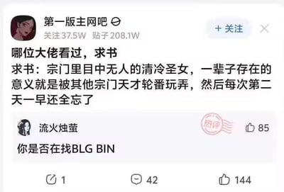 这是一张贴吧类社区的帖子截图，楼主账号“第一版主网吧”发布求书帖，描述了想要找的小说设定：宗门里目中无人的清冷圣女，一辈子存在的意义就是被其他宗门天才轮番玩弄，然后每次第二天一早还全忘了。热评用户“流火烛萤”回复“你是否在找BLG BIN”，玩了电竞圈的梗：BLG战队的选手Bin（陈泽彬）在职业比赛中经常被敌方选手针对、多次被击杀，如同设定里的圣女被轮番“玩弄”，再结合网友对Bin比赛状态起伏的调侃，将其经历与小说设定关联，是电竞爱好者结合网文求书内容的玩梗创作，充满调侃趣味。