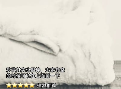 这是一张充满趣味的静态梗图，画面为黑白风格，主体是一个被厚重积雪完全覆盖的物体，其局部外形类似沙发的扶手，营造出“雪制沙发”的视觉错觉。图片下方配有模仿电商平台商品好评的文字内容：评论者称“沙发其实也很棒，大家有空的时候可以在上面睡一下”，同时搭配五颗黄色星星的满分好评标识和“强烈推荐”的字样，用一本正经的好评风格调侃这个雪堆，制造出荒诞又搞笑的反差感，传递出轻松幽默的氛围，也暗含了对冬日休息、摸鱼心态的趣味表达。