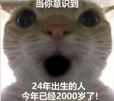 图片主体是一只近距离拍摄的猫咪特写，猫咪双眼瞪得极大，瞳孔圆而黑，嘴巴张成圆形，呈现出极度震惊的表情。图片上方有白色文字“当你意识到”，下方有白色文字“24年出生的人今年已经2000岁了!”。这是一个利用年份歧义制造的幽默梗图，将“24年”解读为公元24年（24 AD），计算到2024年时年龄约为2000岁，通过猫咪夸张的震惊表情放大这种荒诞计算带来的喜剧效果。