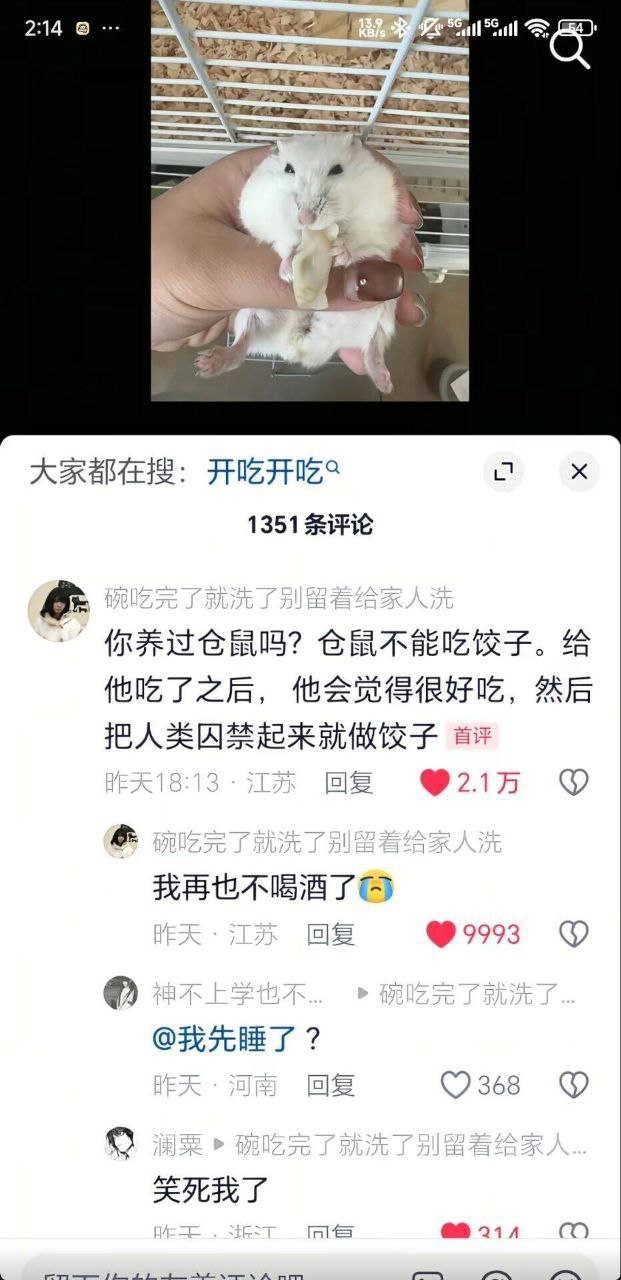 仓鼠