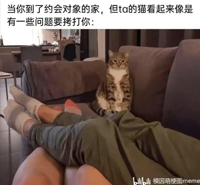 暂无描述