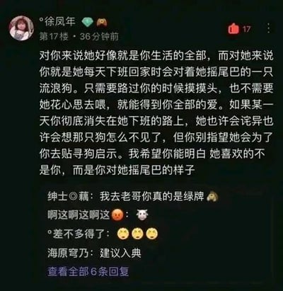社交媒体评论截图，用户“徐凤年”发布一段文字，将单方面付出的爱比喻为流浪狗对人的摇尾，称对方只是享受这种无需费心就能获得全部爱的状态，即使消失也不会被特意寻找。下方有其他用户回复，如“绅士の籍”评论“我去老哥你真的是绿牌😂”，“海原穹乃”建议“入典”，整体氛围带有感慨与调侃。