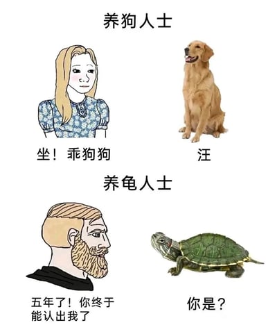 暂无描述