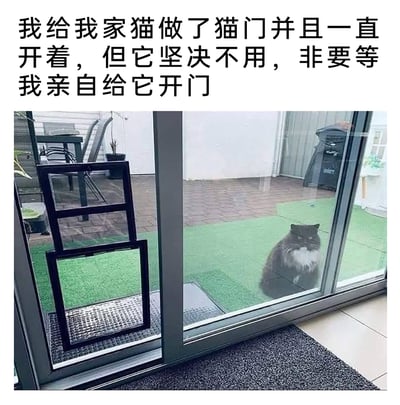 这是一张顶配底文的静态实拍图，上方配有文字说明“我给我家猫做了猫门并且一直开着，但它坚决不用，非要等我亲自给它开门”。画面中，玻璃推拉门上安装了一个黑色的猫门，且猫门处于开启状态，门外的绿色仿真草坪地面上，一只黑白相间的猫咪正坐在玻璃门前，表情傲娇，看起来略带不满，它完全无视旁边可以自由进出的猫门，执意等待主人为它开门，生动展现了猫咪的傲娇性格，充满趣味。