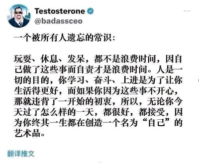 这是一张X平台（原推特）的社交媒体截图，左上角是博主@Testosterone（@badassceo）的原创卡通头像，该头像为佩戴墨镜、身着西装、双臂交叉的男性形象，神态自信严肃。截图主体是一段被翻译成中文的推文文字，内容是一个被遗忘的生活常识：指出玩耍、休息、发呆这类行为并非浪费时间，因这些事产生自责才是真正的浪费；强调人本身才是一切的核心目的，学习、奋斗的初衷是让生活更好，若因此陷入不开心则违背了初衷，鼓励人们接纳自己的每一天，因为人的一生都在创造名为“自己”的艺术品。这段文字传递出善待自我、接纳自我的暖心治愈态度，图中没有双关、谐音梗或暗示类内容。
