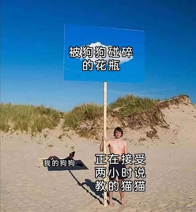 这是一张利用视觉错位创作的搞笑梗图，画面背景是沙滩沙丘，沙滩上躺着的黑影被标注为“我的狗狗”，它悠闲地躺着，而举着蓝色牌子的人被标注为“正在接受两小时说教的猫猫”，牌子则对应“被狗狗碰碎的花瓶”。整个画面用荒诞的错位形式，展现了狗狗闯祸后，猫猫却无辜被长时间说教的搞笑场景，幽默讽刺了生活中“无辜者替他人背锅”的荒诞情况，生动还原了宠物主人可能错怪宠物的搞笑日常。