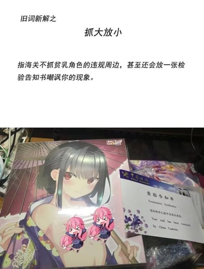 这是一张针对二次元海淘圈的搞笑梗图，通过「旧词新解」的形式重新定义成语「抓大放小」，将其解释为海关查验违规动漫周边时，放过贫乳角色的周边并附上查验告知书的调侃现象。图中下半部分展示了一款撑伞的黑发贫乳二次元角色周边，旁边放置着中国海关的查验告知单，还在角色胸部位置P上两个捂脸抓狂的粉色头发小表情包角色，用视觉化的方式呼应新解内容，充满二次元爱好者的自嘲与调侃趣味。