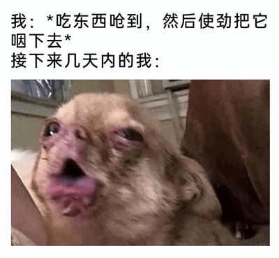 这是一张图文结合的搞笑表情包，上方用文字描述了一个生活场景：“我：*吃东西呛到，然后使劲把它咽下去* 接下来几天内的我：”，下方搭配了一只表情极度痛苦的小狗图片，小狗眼睛半睁、嘴巴大张，面部肌肉扭曲，呈现出非常难受的神态，精准地还原了人在吃东西呛到后强行咽下去，后续几天里喉咙持续不适、难受的状态，用夸张的动物表情放大了这种身体的不适感，容易引发有类似经历的人的共鸣，属于生活类搞笑梗图。