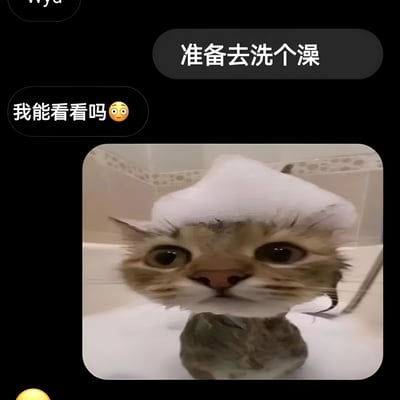 这是一张幽默的猫咪洗澡表情包，上方是聊天对话气泡，内容为"准备去洗个澡"和"我能看看吗😳"，下方是一只头上顶着白色泡沫的猫咪特写，它睁着大大的眼睛，表情看起来有些惊讶和无辜，背景是浴室环境。