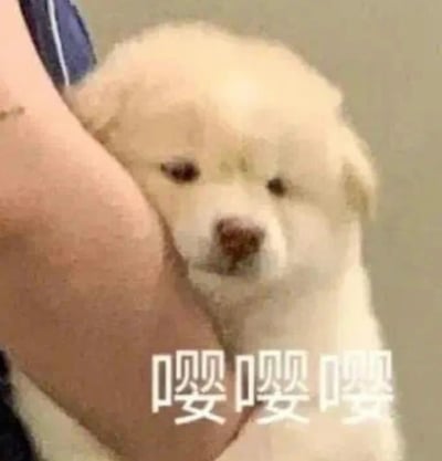 图片中是一只毛茸茸的小白狗，正被人用手臂温柔抱着。小狗毛发蓬松呈米白色，眼睛圆溜溜的，眼神略带委屈，鼻子是浅棕色，表情看起来软萌又无辜。图片底部有醒目的白色文字“嘤嘤嘤”，这是中文里模拟哭泣或撒娇的拟声词，与小狗委屈的神态相呼应，整体营造出可爱又让人心疼的氛围。