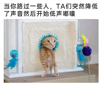 这是一张用来调侃日常尴尬场景的梗图，图片上方配有文字“当你路过一些人，TA们突然降低了声音然后开始低声嘟囔”，下方是经过创意P图的橘色条纹猫：猫咪的头部被卡在猫爬架的蓝色环状玩具里，身体从环中穿出，两只前爪站在猫爬架的平台上，表情局促不安，眼神带着疑惑与窘迫。这张图将猫咪被困住的窘迫模样，拟人化地对应了路过他人时听到对方低声嘀咕，怀疑对方在议论自己的那种尴尬、不安的心情，通过搞笑的视觉效果引发人们对相似日常经历的共鸣。
