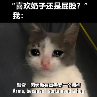 图片上方有文字"喜欢奶子还是屁股？"，中间是"我："，下方是一只灰白色的小猫，它有着大大的黑色眼睛，眼神看起来有些委屈和渴望。图片底部有文字"臂弯，因为我有点需要一个拥抱"，以及对应的英文翻译"Arms, because I sorta need a hug"。这张图通过一个看似低俗的问题和猫咪可爱又委屈的表情形成反差，用幽默的方式表达了对情感关怀的需求。
