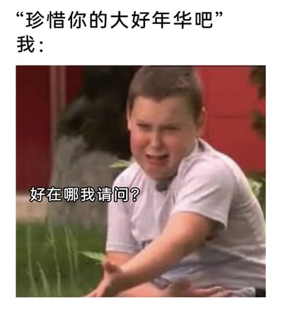 这是一张贴合当代年轻人情绪的改编网络梗图，上方以“‘珍惜你的大好年华吧’ 我：”的文字引出场景，下方是截取的国外男孩激动质问的影视截图，并添加了“好在哪我请问？”的字幕。图中的男孩面部皱起，嘴巴大张，神情混杂着不满与疑惑，身体前倾、手臂伸出的动作也强化了质问的态度，精准地传递出当代年轻人在面对他人“珍惜大好年华”的劝导时，因身处生活、工作等多重压力与困境，无法认同“年华大好”的说法，反而充满疑惑与抵触的真实情绪，能够引发众多年轻人的情感共鸣。
