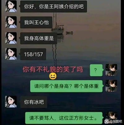 这是一段趣味相亲场景的聊天记录截图，女方王心怡向男方自报身高体重为158/157，由于身高和体重数值几乎相同，男方疑惑地询问哪个是身高哪个是体重，被女方指责“你有冰吧”后，男方调侃女方为“正方形女士”，对话利用身高体重数值相近的巧合制造出搞笑的反差效果，中间的红色文字和表情也烘托出调侃的氛围。