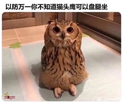 暂无描述