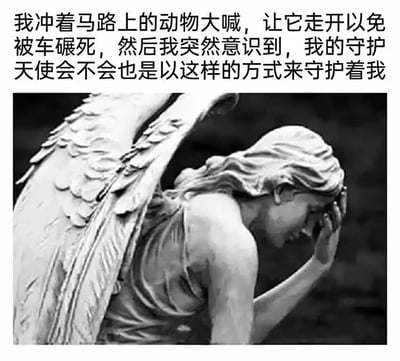 这是一张顶配底文形式的静态黑白单图，上方是一段充满趣味联想的中文文字：“我冲着马路上的动物大喊，让它走开以免被车碾死，然后我突然意识到，我的守护天使会不会也是以这样的方式来守护着我”，下方搭配了一张天使雕像的黑白图片，雕像有着宽大的翅膀，单手扶着脸，姿态看起来无奈又疲惫。文字内容构建了一个幽默的类比：将自己提醒动物避险的急切行为，联想到守护天使可能也会用同样的方式操心自己的安全，而下方天使雕像的无奈姿态正好呼应了这种联想，仿佛在表现守护天使面对“不让人省心”的自己时的无力感，整体用轻松搞笑的方式调侃了生活中那些被默默守护的瞬间。