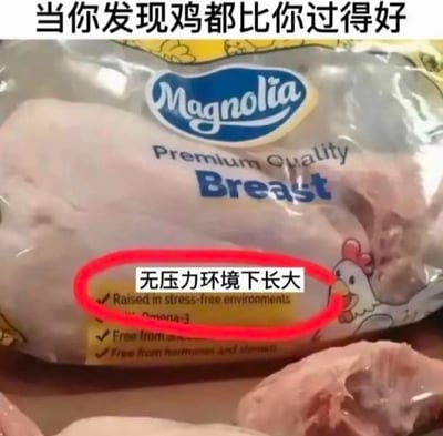 图片展示了一袋Magnolia品牌的鸡胸肉包装，包装上印有“Premium Quality Breast”字样及卡通小鸡图案，其中“无压力环境下长大（Raised in stress-free environments）”的黄色标签被红色圆圈重点标注。图片顶部配有黑色文字“当你发现鸡都比你过得好”，通过对比鸡肉在无压力环境下生长的养殖宣传与现代人普遍面临的生活压力，形成幽默反差，引发对生活状态的轻松吐槽。