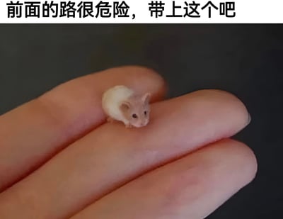 图片中一只体型极小的浅色仓鼠（或幼鼠）正乖巧地趴在人的手指上，背景为纯黑色。上方配有文字“前面的路很危险，带上这个吧”，通过可爱弱小的仓鼠与“危险”“保护”的语境形成强烈反差萌，营造出幽默温馨的效果。