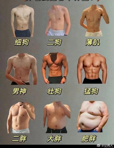 这是一张以九宫格形式呈现的男性身材趣味分类图，将不同体型的男性从上到下、从左到右分为9个类别：1. 细狗：身形单薄瘦弱，几乎无肌肉线条；2. 二狗：比细狗稍壮实，但整体仍偏瘦；3. 薄肌：有初步的肌肉线条，但整体体型偏瘦；4. 男神：身材匀称，拥有清晰的基础肌肉线条，体型美观；5. 壮狗：肌肉发达，身材健硕，肌肉线条明显；6. 猛狗：肌肉量极高，肌肉线条夸张清晰，是健身达人的身材；7. 二胖：有一定肌肉基础，但腹部出现明显赘肉；8. 大胖：腹部赘肉堆积明显，整体体型偏胖；9. 肥胖：腹部脂肪大量堆积，体型肥胖。图中采用接地气的网络风格词汇命名，方便网友对号入座、自我调侃或与好友互动，无双关、谐音梗等特殊内容。