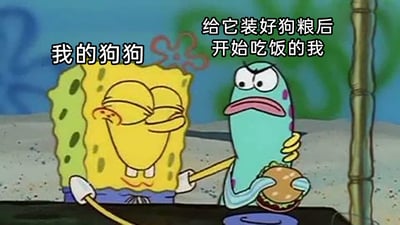 暂无描述