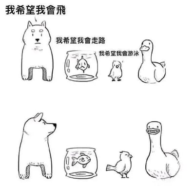 這是一幅兩格對比漫畫，描繪了四種動物的願望與現實狀態。第一格中，狗希望能飛，魚希望能走路，小雞希望能游泳；第二格中，魚在魚缸裡快樂地游動，小雞變成了會飛的小鳥，鴨子微笑著，而狗則若有所思地望向一側。漫畫通過動物們的願望與自身能力的反差，傳達出對現實的幽默反思。