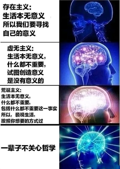 这是一张竖版多图拼接的图文混排对比图，共分为四个部分。每个部分左侧为文字说明，右侧为不同光影效果的大脑插图。第一部分：存在主义——'生活本无意义 所以我们要寻找自己的意义'，搭配蓝色发光大脑；第二部分：虚无主义——'生活本无意义，什么都不重要，试图创造意义是没有意义的'，搭配紫色发光大脑；第三部分：荒诞主义——'生活本无意义，什么都不重要，包括什么都不重要这一事实所以，藐视生活，按照你想要的方式过'，搭配白色高亮大脑；第四部分：'一辈子不关心哲学'，搭配放射蓝色光芒的大脑。通过文字与视觉元素的结合，幽默对比了不同哲学观点下的思维状态。
