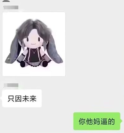这是一张社交平台的聊天记录截图，对话中一方先发送了一张经过二次创作的卡通毛绒玩偶图，该玩偶原型是VOCALOID的虚拟歌手初音未来，随后配文“只因未来”，利用“初音”与“只因”的谐音，结合蔡徐坤的“只因”（源于“鸡你太美”梗）玩谐音梗；收到消息的另一方则回复了一句粗俗脏话，传递出被这个冷梗整蛊后的愤怒、无语情绪。