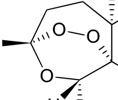 这是一张黑白的青蒿素化学分子结构局部线稿图，仅截取了青蒿素结构中包含三个氧原子的过氧桥环状结构部分，背景为纯白色，以黑色线条绘制化学键、楔形键和原子符号，仅显示结构片段，没有展示完整分子结构。