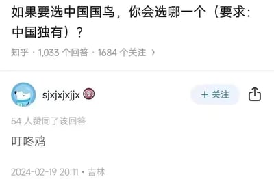 该图片为知乎平台的一个问答截图，问题内容为“如果要选中国国鸟，你会选哪一个（要求：中国独有）？”，下方显示有1,033个回答和1684个关注。截图中展示了用户“sjxjxjxjx”的回答，内容仅为“叮咚鸡”三个字，该回答获得54人赞同，发布时间为2024-02-19 20:11，发布地点显示为吉林。整体画面为典型的知乎问答界面，包含问题标题、用户信息、回答内容及互动数据。