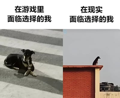 这是一张左右对比的梗图，通过两张动物图片幽默地对比了人们在游戏和现实中面对选择时的不同状态。左边图片中，一只狗悠闲地躺在斑马线上，配文"在游戏里面临选择的我"；右边图片中，一只鸟紧张地站在屋顶边缘，配文"在现实面临选择的我"。通过动物的不同姿态，生动展现了游戏中选择的轻松心态与现实中选择的焦虑感之间的反差。