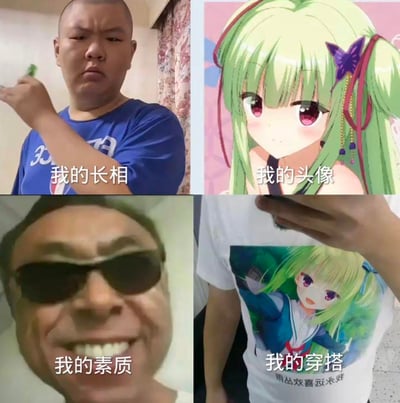 这是一张四格对比梗图，通过四个不同场景展现了一个人在现实与网络形象之间的反差。左上格是一位穿蓝色T恤的男子手持物品，配文“我的长相”；右上格是绿发双马尾动漫女孩，配文“我的头像”；左下格是戴墨镜的男子面部特写，配文“我的素质”；右下格是一个人穿着印有绿发动漫女孩图案的T恤自拍，配文“我的穿搭”。整体通过夸张对比制造幽默效果，反映了网络时代人们在线上线下形象的差异。