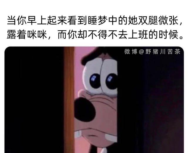 高飞