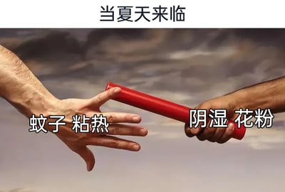 这是一张吐槽夏日烦恼的网络梗图，顶部配有文字“当夏天来临”，画面核心是两只真人的手正在传递红色接力棒，左侧的手被标注“蚊子 粘热”，代表夏天初期带来的困扰：蚊虫叮咬和闷热粘腻的体感；右侧的手被标注“阴湿 花粉”，代表夏天后续的烦恼：潮湿的环境和花粉过敏等问题。图片用接力棒传递的意象，幽默地表现出夏天的烦恼是一波接一波、接踵而至的，引发人们对夏日不适的共鸣。