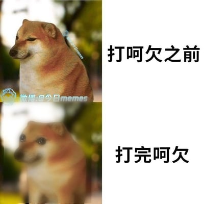 这是一张上下结构的对比式趣味表情包，上半部分左侧是眯着眼睛、神态淡定放松的柴犬，右侧配文“打呵欠之前”；下半部分左侧是同一只柴犬，眼睛瞪大、神态恍惚发懵，画面还有轻微模糊效果模拟失神的状态，右侧配文“打完呵欠”，生动还原了人打哈欠后短暂失神、脑子一片空白的真实体验，笑点贴近日常很有共鸣。