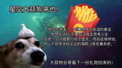 这是一张创意P图制作的静态单图，背景是蓝绿色的星空画面，主体是一只头顶着完整大蒜的狗狗，被赋予“星空大蒜狗”的可爱称呼。图中搭配了多段治愈系的拟人化文字：顶部以活泼的语气宣告“星空大蒜狗来也！”；中间部分以大蒜狗的口吻，说明带来了一包红色包装的薯条作为友谊的象征，同时传递出暖心劝慰——不要在深夜思考人生，因为这种时刻容易将所有问题归结于虚无，进而徒增烦恼，不如像码头边的海鸥一样，用吃薯条这种简单的小事来消解情绪；底部则留下“大蒜狗会带着下一份礼物回来的！”的温馨预告。整体画面风格轻松治愈，用可爱的动物形象搭配温暖的文字，给人带来情绪上的慰藉，氛围轻松又充满善意。