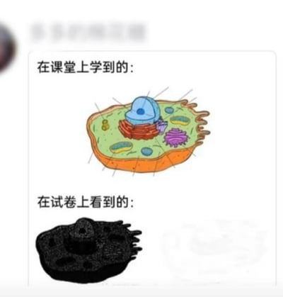 这是一张采用上下对比形式的静态梗图，上方区域标注“在课堂上学到的：”，搭配一幅色彩鲜明、内部细胞器结构清晰明了的动物细胞示意图，各个细胞结构都有标注线，是生物课堂上常见的教学图示；下方区域标注“在试卷上看到的：”，搭配一幅黑乎乎、内部结构完全模糊不清的细胞图像，几乎无法分辨任何细胞器。通过这种强烈的视觉反差，生动地调侃了学生在课堂上学习的是清晰易懂的标准化知识，但到了考试时，题目中的相关图像却模糊难辨，和课堂所学形成巨大落差，精准戳中了学生考试时的无奈与共鸣，是学生群体用来吐槽考试内容与教学内容脱节的搞笑内容。