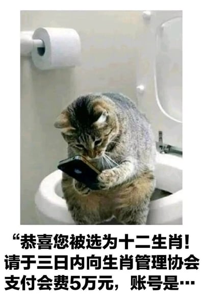这是一张充满趣味的网络梗图，画面上半部分是一只狸花猫，它拟人化地坐在马桶圈上，两只前爪捧着一部手机，低着头，眼神专注地看向手机屏幕，仿佛正在认真查看手机里的内容，场景模仿人类如厕时玩手机的样子，十分生动。图片下半部分配有一段模仿诈骗短信的文字内容：“恭喜您被选为十二生肖！请于三日内向生肖管理协会支付会费5万元，账号是…”，利用猫并不在十二生肖之中这一常识，结合离谱的诈骗话术，制造出荒诞搞笑的反差感，以此调侃现实生活中常见的、套路离谱的诈骗信息，讽刺诈骗分子的无厘头诈骗手段。