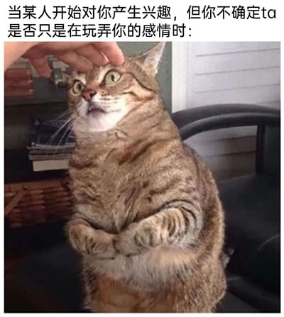 这是一张趣味表情包，上方配有文字“当某人开始对你产生兴趣，但你不确定ta是否只是在玩弄你的感情时：”，图中的狸花猫双手抱在胸前，眼睛瞪大，带着警惕、不安又夹杂着一丝期待的神情，抬头看向正在抚摸它头顶的手，将人们在面对他人的好感时，既期待感情降临又害怕被欺骗、患得患失的纠结心态，通过猫咪的拟人化神态生动地展现了出来，适合在社交场景中用来表达这种复杂的情感状态。