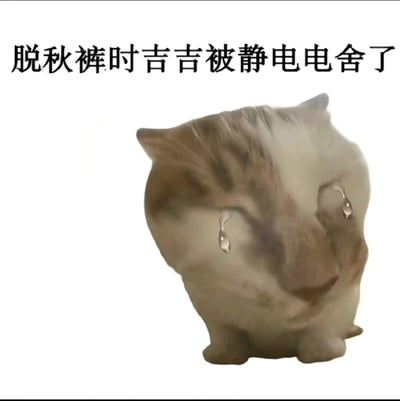 图片展示了一个表情痛苦的猫形玩偶，双眼下方有明显的泪珠，呈现出被静电击中的夸张反应。上方配有文字“脱秋裤时吉吉被静电电舍了”，用幽默的方式表现秋冬季节脱衣物时遭遇静电的尴尬体验。