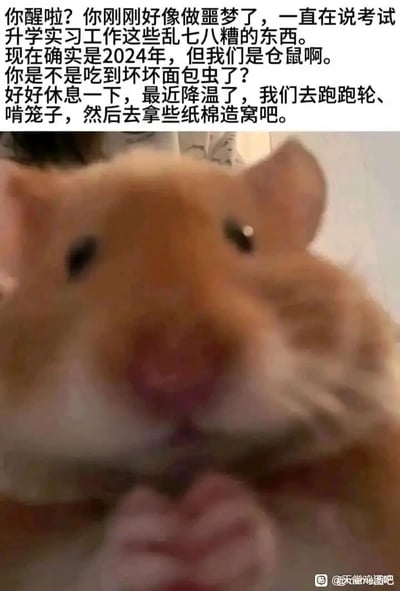暂无描述