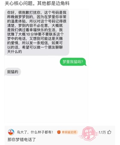 这是一张竖屏格式的社交媒体截图，上方配有文字“关心核心问题。其他都是边角料”，主体是一段趣味聊天记录：一名陌生人以“梦中记住号码”为由向他人搭讪，称梦里对方温柔体贴，想借此发展朋友关系；被搭讪者没有顺着话题回应，反而提问“梦里我猛吗？”，搭讪者回复“挺猛的”。截图下方是平台用户的神评，内容为“鸟大了，什么林子都有！那你梦错电话了”，该评论获得1.1万点赞，旁边带有“青铜鉴定师”标识，右下角还有“神评 有趣”的水印，整体内容充满荒诞搞笑的氛围，神评精准吐槽了搭讪者的离谱行为。