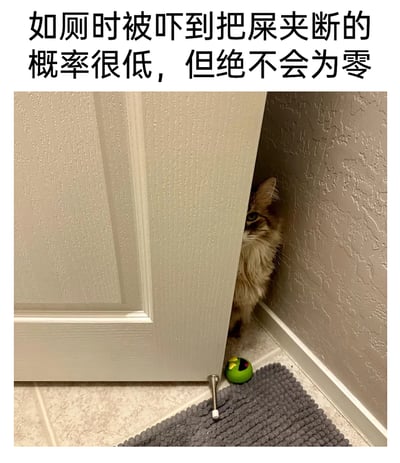 这是一张图文结合的搞笑趣味图，上方配有调侃性文字“如厕时被吓到把屎夹断的概率很低，但绝不会为零”，下方实拍图片中一只长毛猫咪躲在半开的门后，仅露出头部和部分身体，眼睛看向镜头方向，姿态像是突然出现在卫生间门口的偷窥者，完美呼应了文字中描述的“如厕时被吓到”的尴尬社死场景，将宠物的可爱瞬间与生活化的搞笑梗结合，制造出诙谐幽默的效果，调侃了人们在如厕时被突然惊扰的尴尬状况。