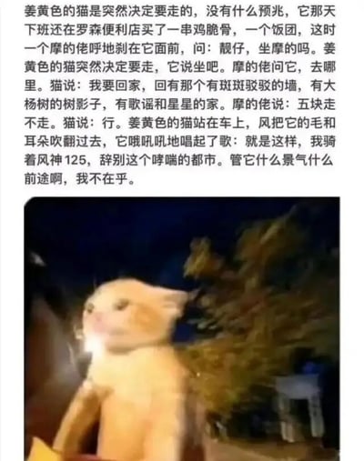 图片由上方叙事文字和下方照片组成。文字讲述了一只姜黄色的猫突然决定离开都市，下班在罗森便利店买了鸡脆骨和饭团后，乘坐摩的前往有斑斑驳驳的墙、大杨树树影、歌谣和星星的家，并唱起“骑着风神125辞别哮喘都市”的歌。下方照片展示了夜晚中这只姜黄色的猫，它站在摩托车上，毛发和耳朵被风吹起，眼神望向远方，充满对家的向往。