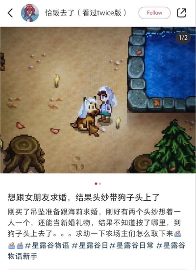这是一张小红书平台的社交媒体截图，内容是《星露谷物语》玩家的搞笑乌龙日常：玩家购置了求婚吊坠，准备向游戏角色海莉求婚，原本想给自己和海莉各佩戴一个头纱，却因操作失误，把其中一头纱戴在了自己的宠物狗子头上，画面里游戏角色和戴着头纱的狗子并肩站立，场景滑稽。玩家配文求助其他玩家如何取下狗子头上的头纱，充满了游戏操作失误带来的搞笑感。